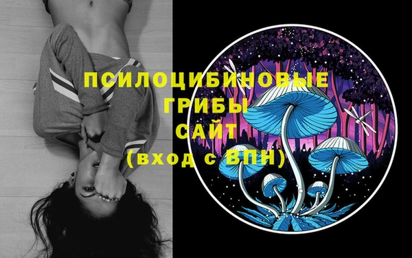 скорость Аркадак